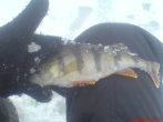 DSC00730.JPG