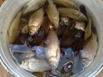 24052010051 800х600.jpg