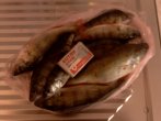 IMG0322A.jpg