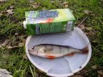 12092010231 1024х756.jpg