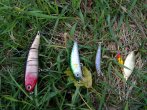 18092010249 1024.jpg