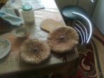 Фото0017.jpg