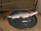 25092010266 1024.jpg