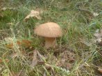 DSC03421.jpg