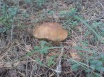 DSC03422.jpg