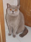 DSCF0218.jpg