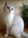 IMGP4447_mini.JPG