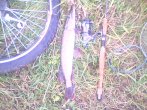 IMG0057A.jpg