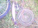 IMG0058A.jpg