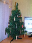 PICT0178.JPG