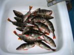 DSCN301111.jpg