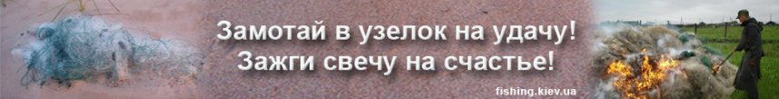 banner copy.jpg