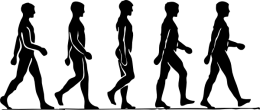 pravilno_hodit-03.png