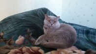 20140428_175921.jpg