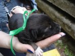 DSC05634.JPG