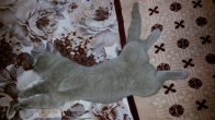 20140421_221717.jpg