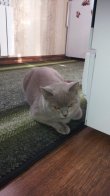 20150518_075557.jpg
