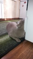 20150518_075559.jpg