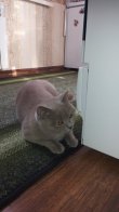 20150518_075604.jpg