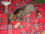 DSC05844.JPG