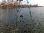 28032011220_mix.jpg