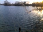 28032011224_mix.jpg