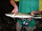 щука 18.05.2011.JPG