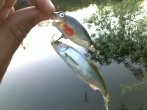 26052011026_mix.jpg
