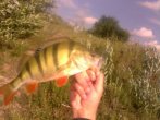 IMG0392A.jpg