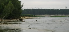 r1.jpg