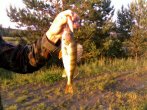 16062011040_mix.jpg