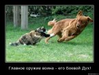 дух.jpg
