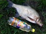 08072011092.jpg