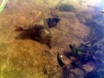 16072011110_mix.jpg