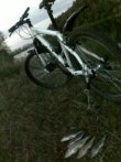 21082011168_mix.jpg
