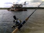 20082011153_mix.jpg