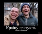 фокс.jpg
