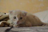 _DSC8314.JPG