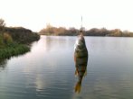 31102011272_mix.jpg