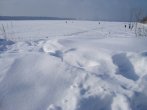 DSC00139.JPG
