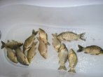 Карась 02.05.2012 6кг.JPG