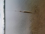 20120514tYbeP7Z9OojQGEV6_FA3Cu_large.jpg