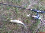 DSC00223.jpg
