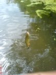 DSC00227.jpg