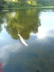 DSC00228.jpg