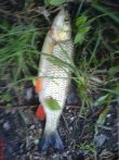 DSC00231.jpg