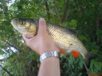 DSC00234.jpg