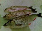 17072012_005.jpg