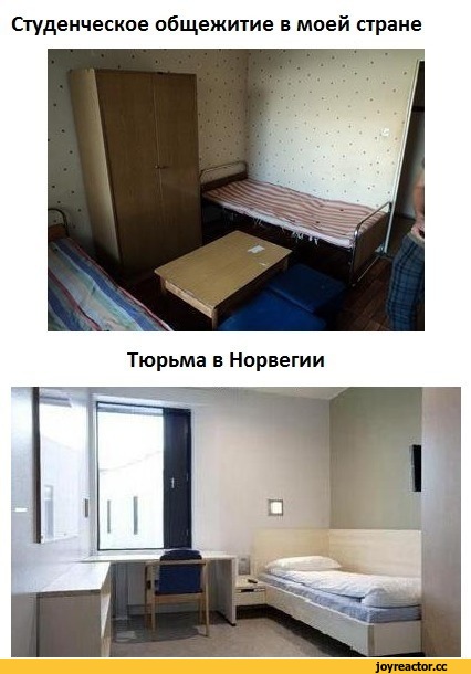 личное-общага-студенты-тюрьма-83563.jpeg