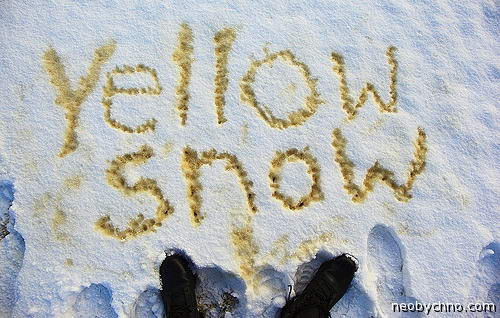 03-yellow-snow.jpg